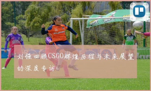 刘强回顾CSGO辉煌历程与未来展望的深度专访